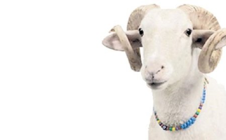 A Spiritual Prescription for Genetic and Incurable Diseases: The Power of Sacrifice and Charity