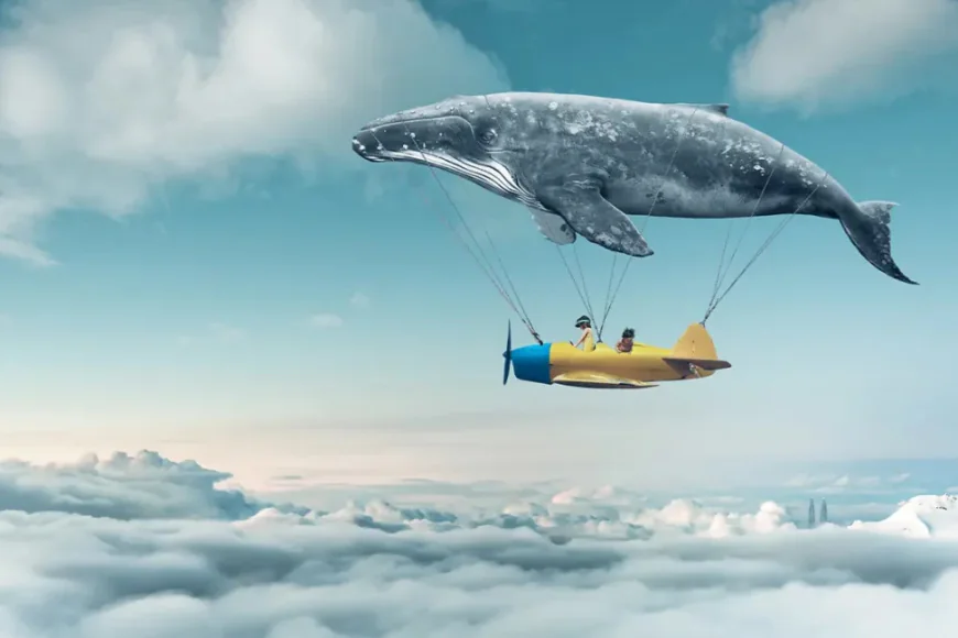 Types of dreams and the mysterious nature of the subconscious