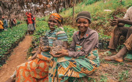 Africa dream meanings, travel signs and life changes ahead