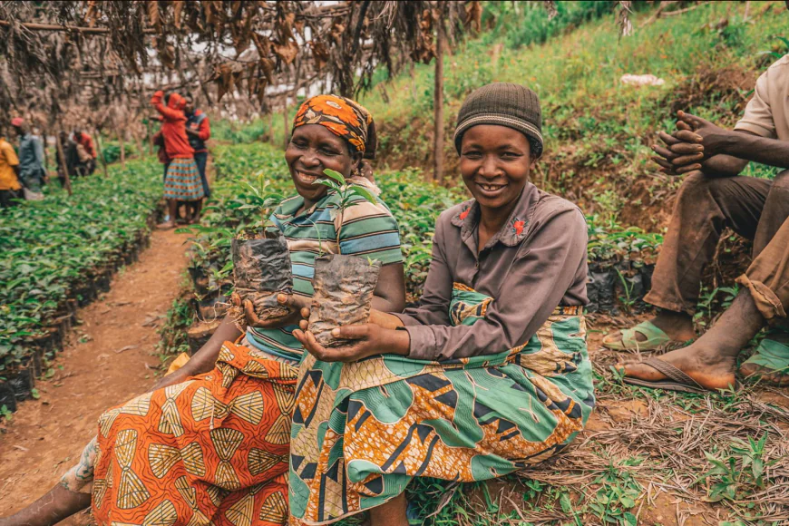 Africa dream meanings, travel signs and life changes ahead